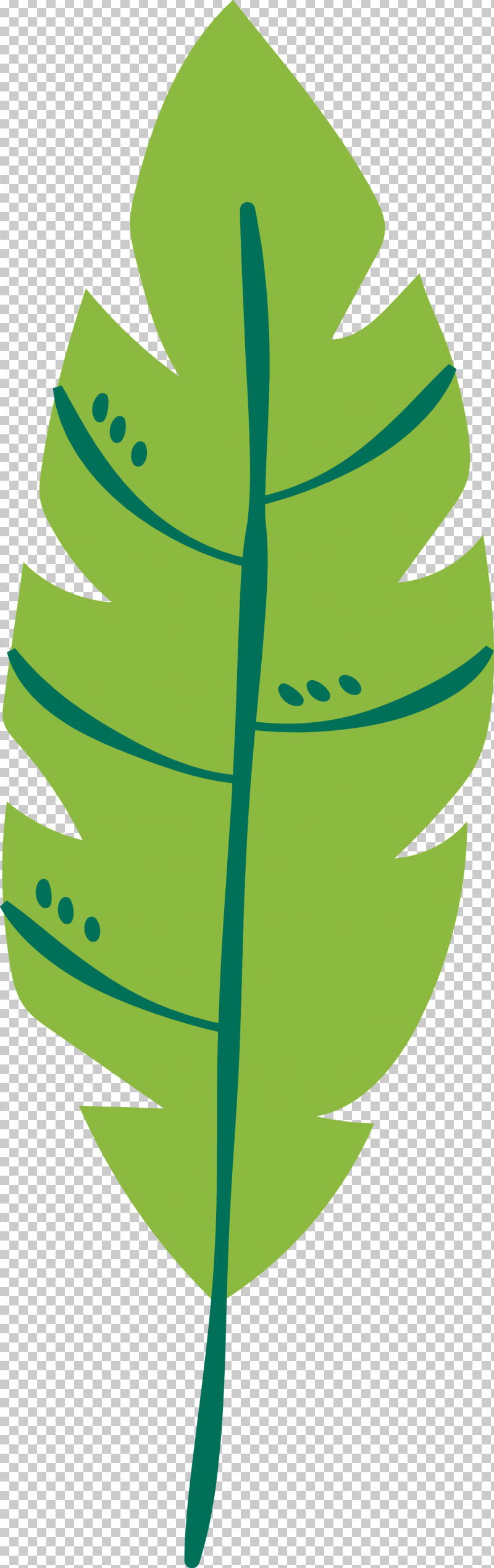 Plant Stem Leaf Green Fruit M-tree PNG, Clipart, Biology, Fruit, Green, Lawn, Leaf Free PNG Download