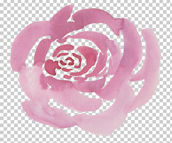 Flower Centifolia Roses Watercolor Painting Pink PNG, Clipart, Art Museum, Centifolia Roses, Clip Art, Color, Cut Flowers Free PNG Download