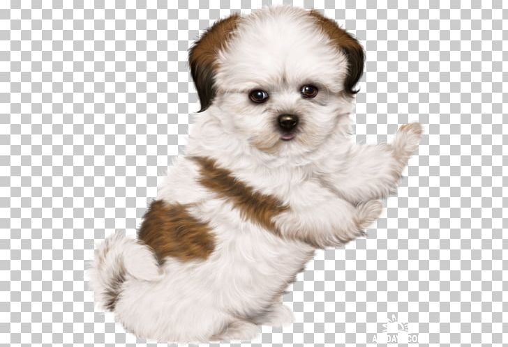 Puppy Dog Drawing PNG, Clipart, Animal, Animals, Art, Blog, Bolonka Free PNG Download