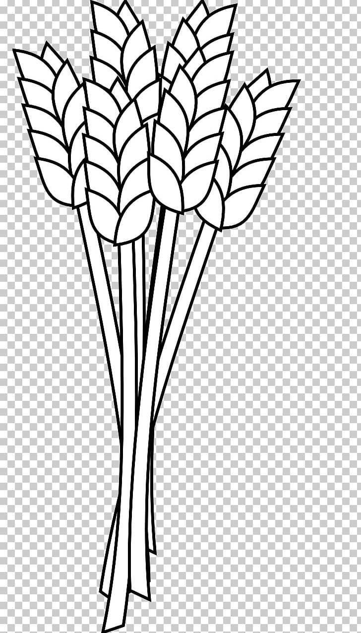 Wheat Flour Coloring Book Whole Grain PNG, Clipart, Barley, Black And White, Branch, Cereal, Child Free PNG Download