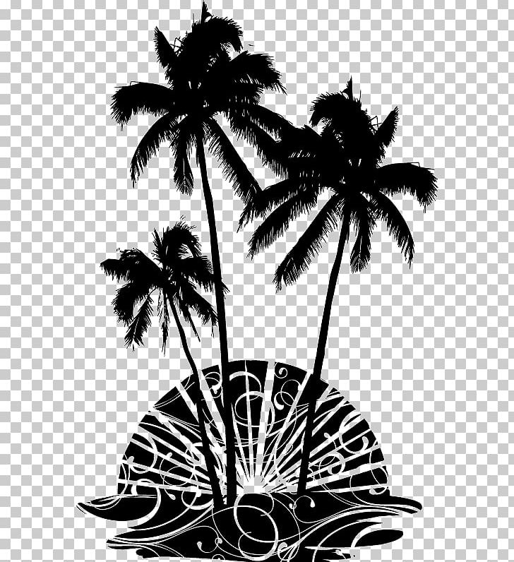 Asian Palmyra Palm Arecaceae Wall Decal Woody Plant PNG, Clipart, Arecaceae, Arecales, Asian Palmyra Palm, Black And White, Borassus Free PNG Download