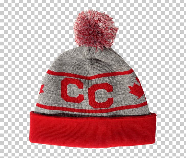 Beanie Two Coins Online Shopping Knit Cap PNG, Clipart, Beanie, Cap, Clothing, Clothing Accessories, Dallas Green Free PNG Download