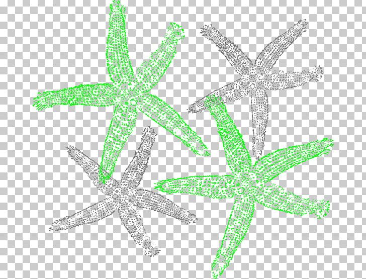 Computer Icons Starfish PNG, Clipart, Animals, Clip Art, Computer Icons, Download, Echinoderm Free PNG Download