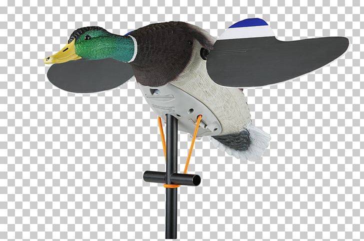 Duck Decoy Mallard Duck Decoy Goose PNG, Clipart, Animals, Beak, Bird, Canada Goose, Coupon Free PNG Download