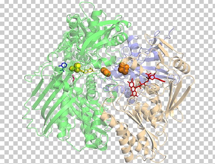 Xanthine Oxidase Inhibitor Hypoxanthine PNG, Clipart, Allopurinol, Chemistry, Enzyme, Fes, Goat Milk Free PNG Download