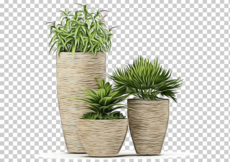 Flowerpot Grasses Houseplant Herb Evergreen Marine Corp. PNG, Clipart, Evergreen Marine Corp, Flowerpot, Grasses, Herb, Houseplant Free PNG Download