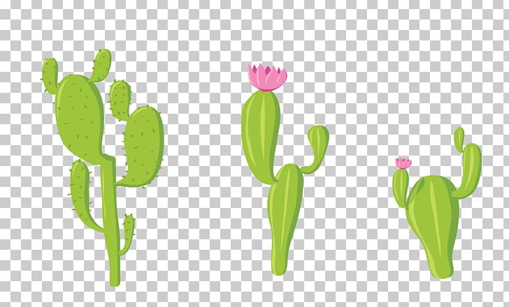 Cactaceae Euclidean PNG, Clipart, Background Green, Cactus, Cactus Vector, Computer Graphics, Download Free PNG Download