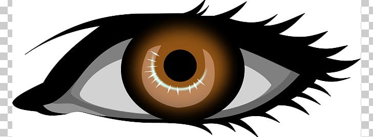 Eye Color Brown PNG, Clipart, Brand, Brown, Brown Cliparts, Color, Eye Free PNG Download