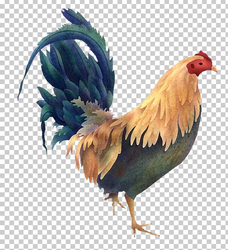 Rooster Silkie Dorking Chicken Poultry PNG, Clipart, Beak, Bird, Chicken, Chicken As Food, Chicken Coop Free PNG Download
