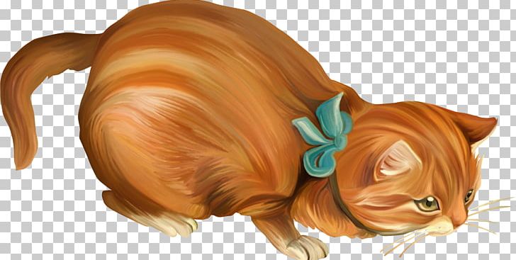 Whiskers Kitten Tabby Cat Tail PNG, Clipart, Animals, Canidae, Carnivoran, Cat, Cat Like Mammal Free PNG Download