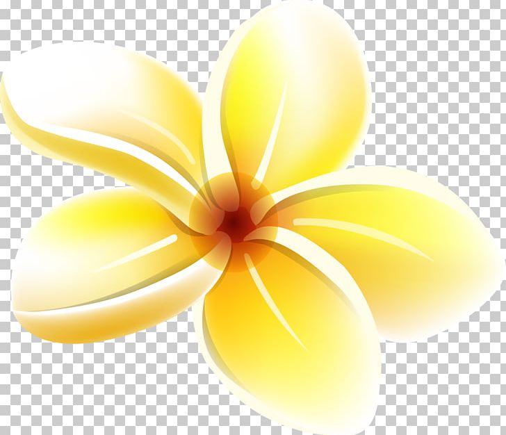 Yellow Flower PNG, Clipart, Albom, Art, Clip Art, Closeup, Computer Wallpaper Free PNG Download