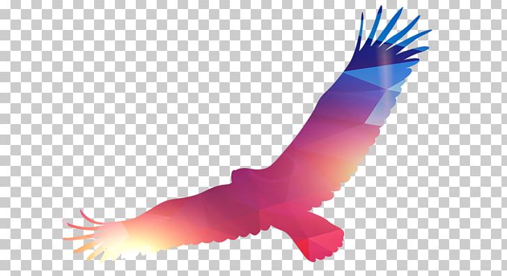 Bird Business Illustration PNG, Clipart, Animals, Art, Beak, Bird, Bird Of Prey Free PNG Download