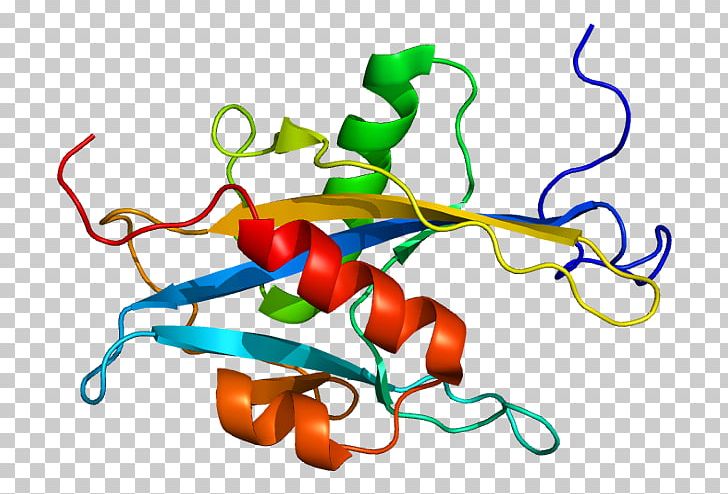MUTYH DNA Glycosylase Gene Glycoside Hydrolase PNG, Clipart, 1 X, Artwork, Base Excision Repair, Familial Adenomatous Polyposis, Food Free PNG Download