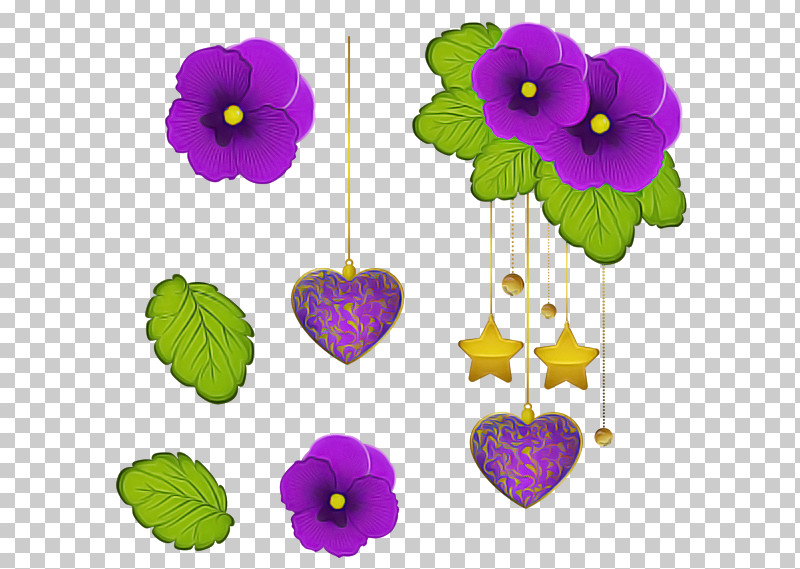 Purple Violet Flower Plant Violet Family PNG, Clipart, Flower, Morning Glory, Petal, Plant, Purple Free PNG Download