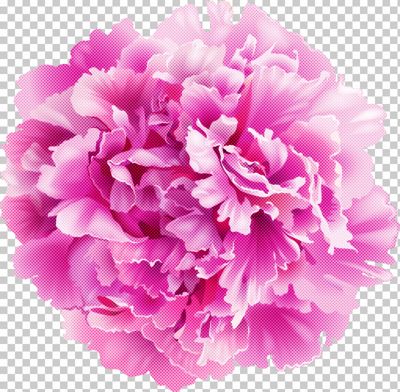 Floral Design PNG, Clipart, Aroma, Cut Flowers, Floral Design, Mug, Odor Free PNG Download