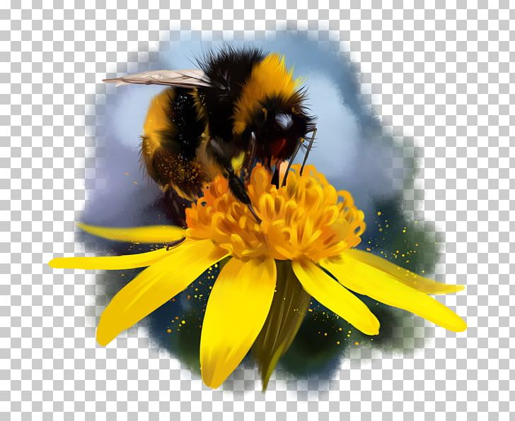 Bumblebee Honey Bee Nectar Drawing PNG, Clipart, Arthropod, Bee, Bee Pollen, Bumblebee, Drawing Free PNG Download