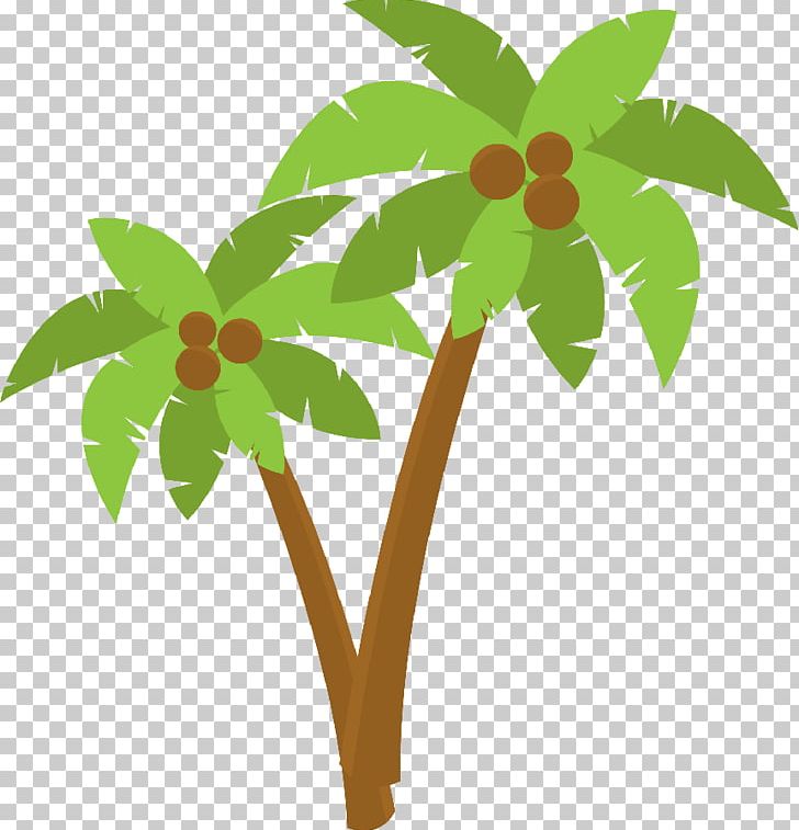 Arecaceae Coconut PNG, Clipart, Arecaceae, Arecales, Branch, Coconut, Drawing Free PNG Download