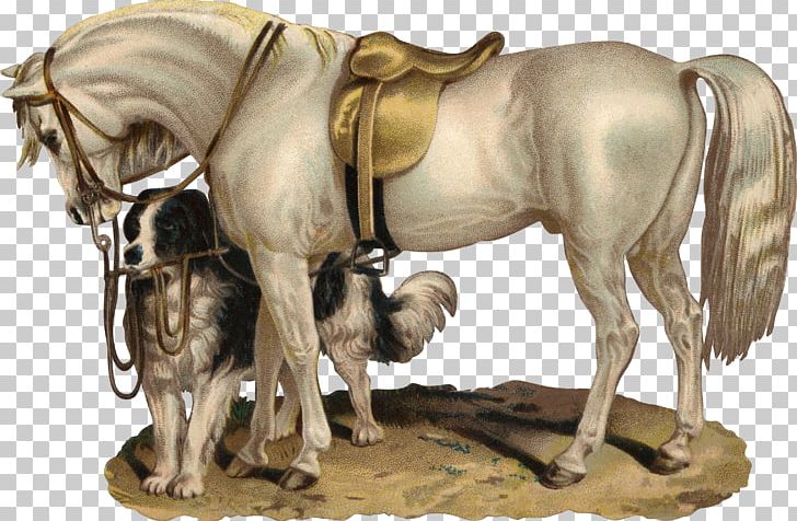 Horse Bokmärke PNG, Clipart, Animals, Desktop Wallpaper, Digital Image, Horse, Horse Harness Free PNG Download