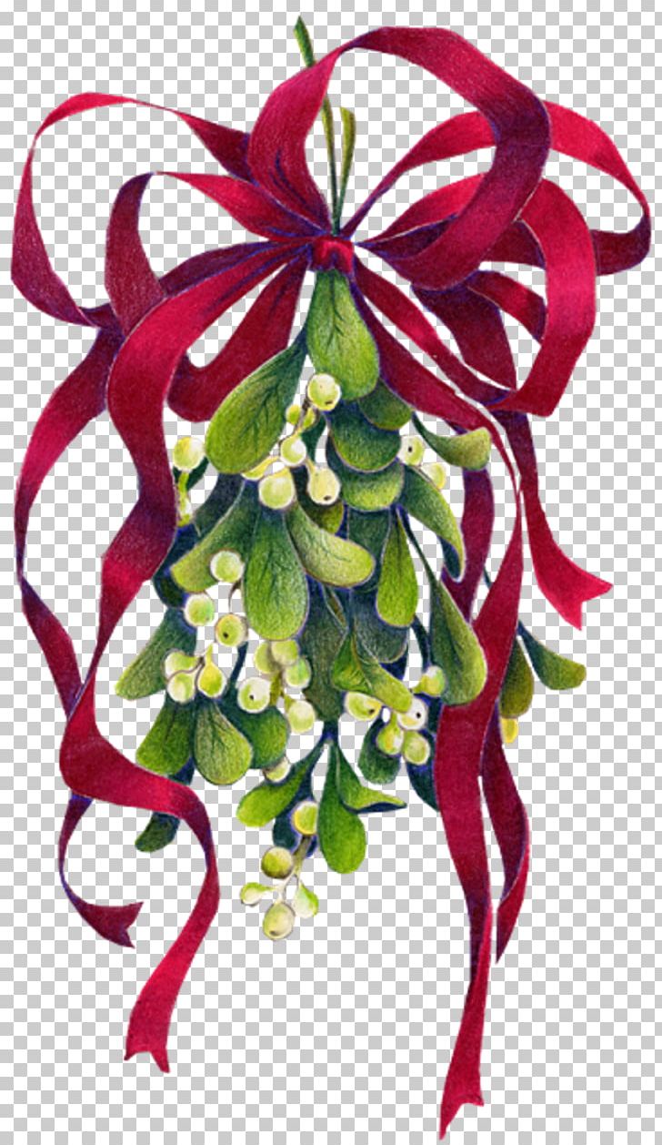 Mistletoe Christmas Phoradendron Tomentosum PNG, Clipart, Animation, Christmas, Cut Flowers, Flora, Floral Design Free PNG Download