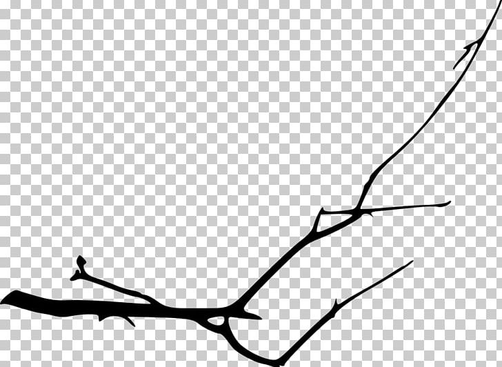 Twig PNG, Clipart, Angle, Animals, Area, Arm, Bark Free PNG Download