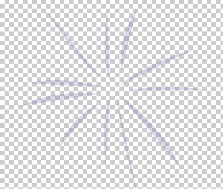 White Symmetry Leaf Desktop Pattern PNG, Clipart, Angle, Black And White, Circle, Computer, Computer Wallpaper Free PNG Download