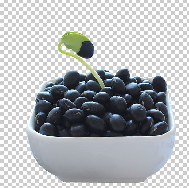 Black Turtle Bean Rice And Beans Food Blueberry PNG, Clipart, Adzuki Bean, Background Black, Bean, Bilberry, Black Free PNG Download