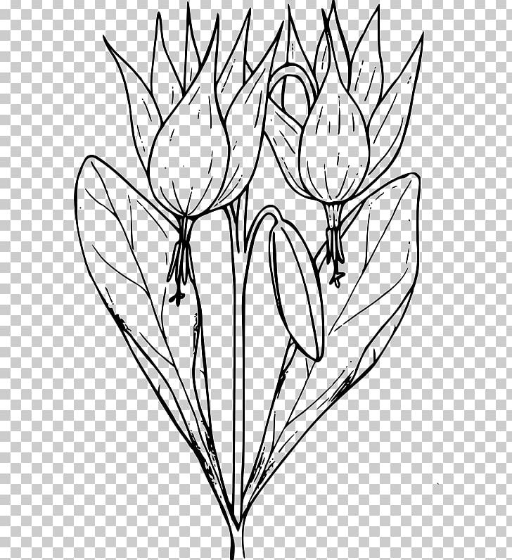 Coloring Book Floral Design Flower PNG, Clipart, Artwork, Black And White, Branch, Child, Coloring Book Free PNG Download