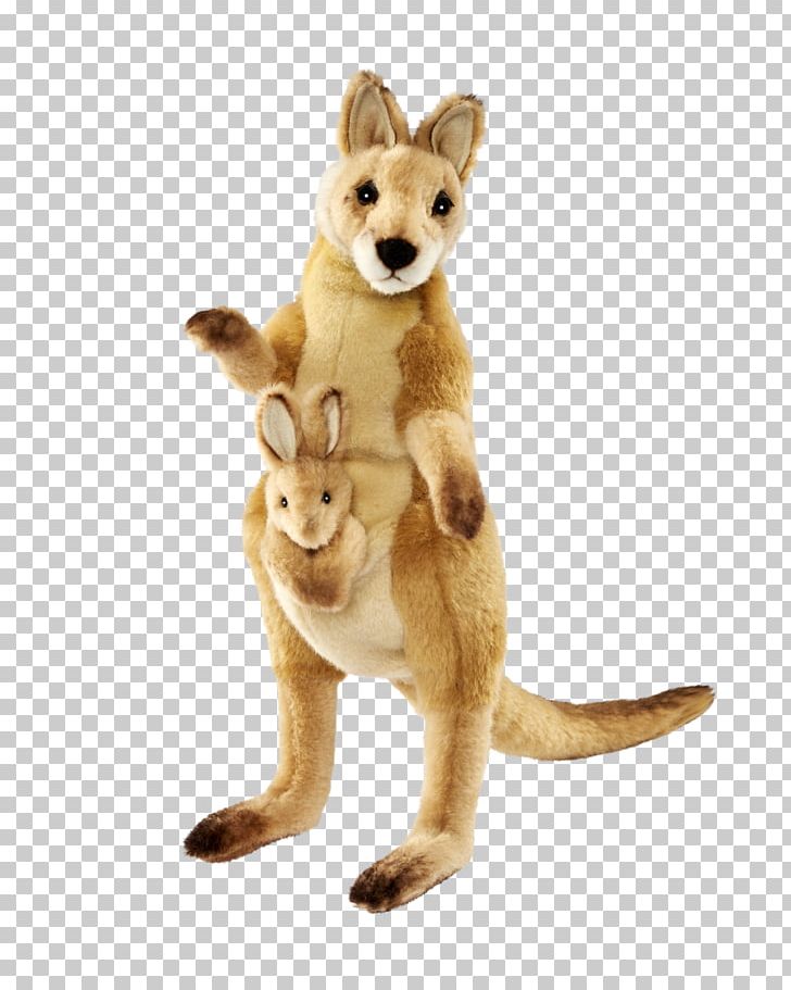 Red Fox Cat Kangaroo Stuffed Animals & Cuddly Toys Tail PNG, Clipart, Amp, Animal Figure, Animals, Carnivoran, Cat Free PNG Download
