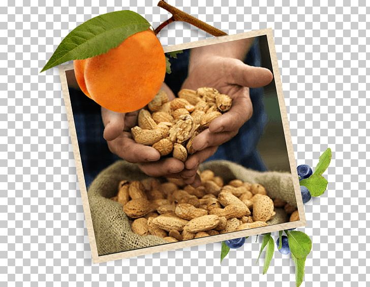 Walnut Vegetarian Cuisine Dried Fruit Food Peanut PNG, Clipart, Dried Fruit, Food, Fruit, Fruit Nut, Ingredient Free PNG Download