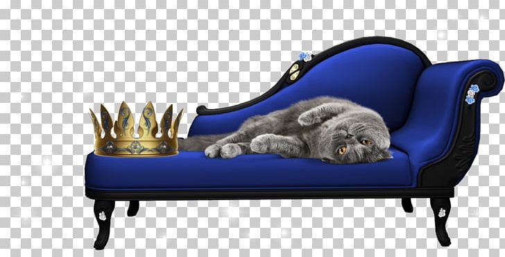 Chaise Longue San Diego County PNG, Clipart, Bed, California, Cattery, Chair, Chaise Longue Free PNG Download
