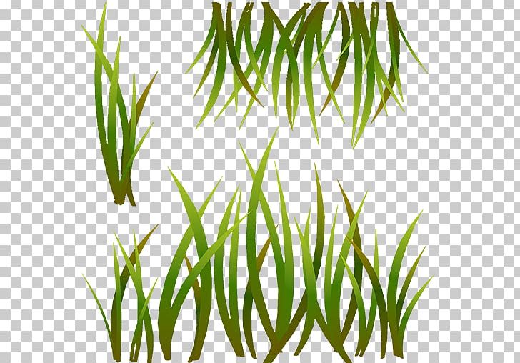 Grasses Polycount Furnace Leaf Plant Stem PNG, Clipart, Aquarium, Aquarium Decor, Black And White, Blast Furnace, Commodity Free PNG Download