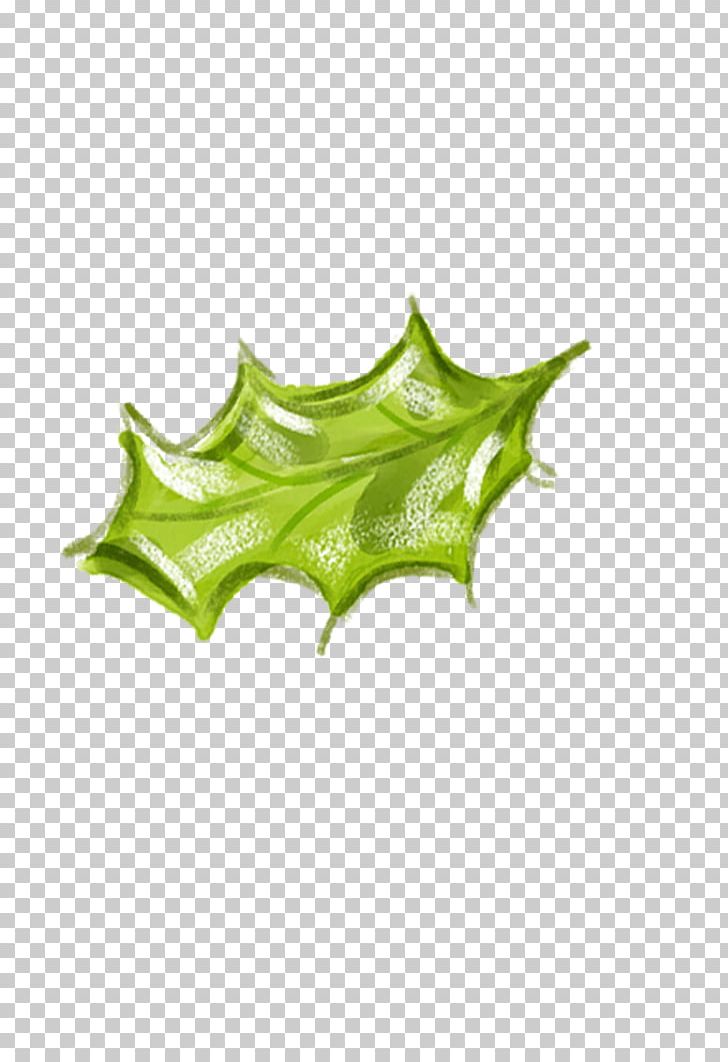 Leaf Euclidean Material High-definition Television PNG, Clipart, Christmas Frame, Christmas Lights, Christmas Tree, Clips, Creative Free PNG Download