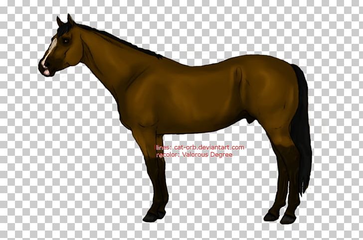 Mare Pony Stallion Mane Foal PNG, Clipart,  Free PNG Download