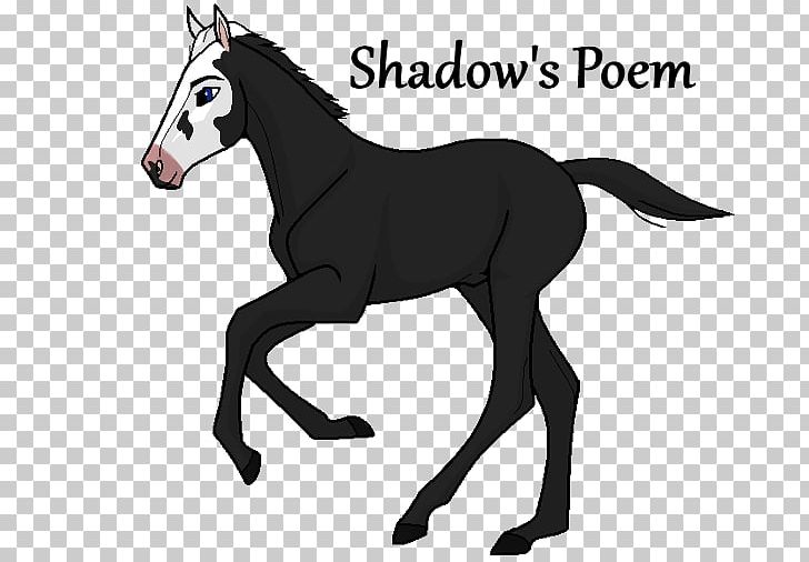 Mule Foal Stallion Pony Colt PNG, Clipart, Black And White, Bridle, Colt, English Riding, Equestrian Free PNG Download