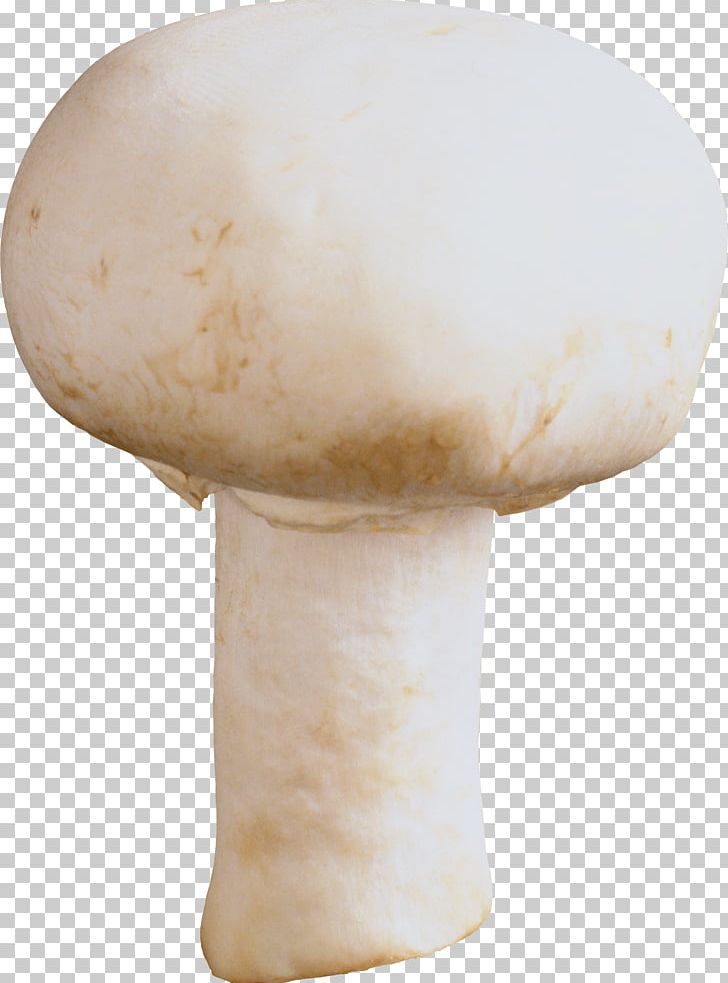Mushroom Fungus PNG, Clipart, Agaricaceae, Agaricomycetes, Appbreeze, Bestoftheday, Blog Free PNG Download