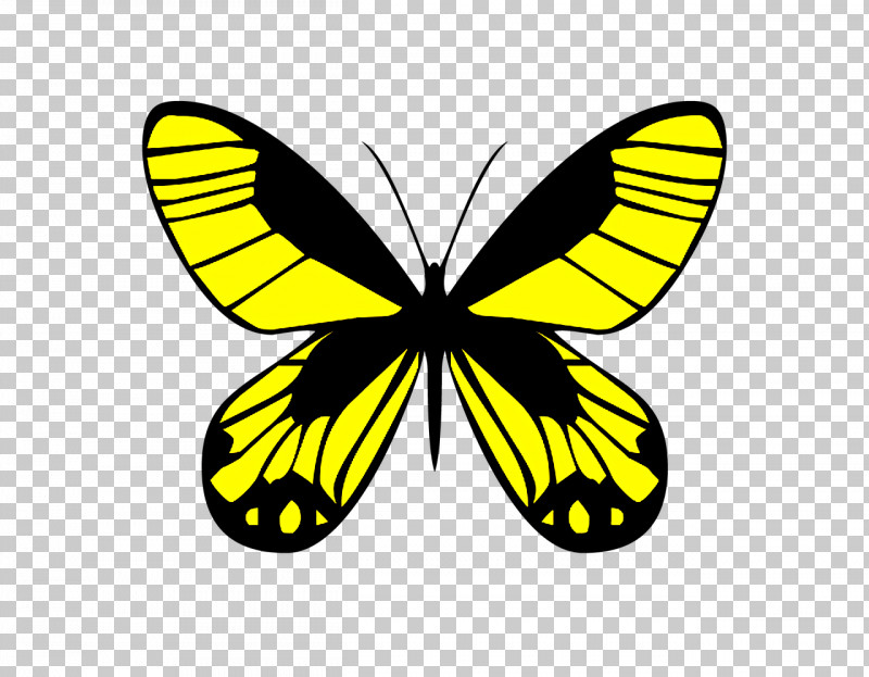 Butterflies Engraving Decal Drawing Cartoon PNG, Clipart, Butterflies, Cartoon, Decal, Drawing, Engraving Free PNG Download