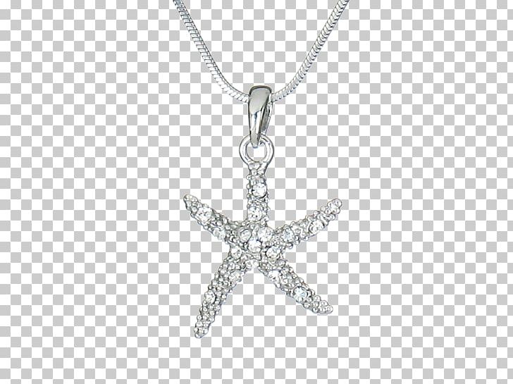 Charms & Pendants Starfish Earring Necklace Jewellery PNG, Clipart, Animals, Body Jewelry, Chain, Charm Bracelet, Charms Pendants Free PNG Download