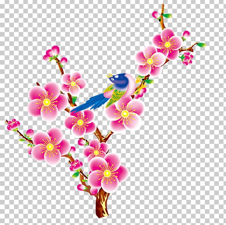 Floral Design Bird Flower PNG, Clipart, Blossom, Branch, Cherry Blossom, Christmas Flowers, Christmas Frame Free PNG Download