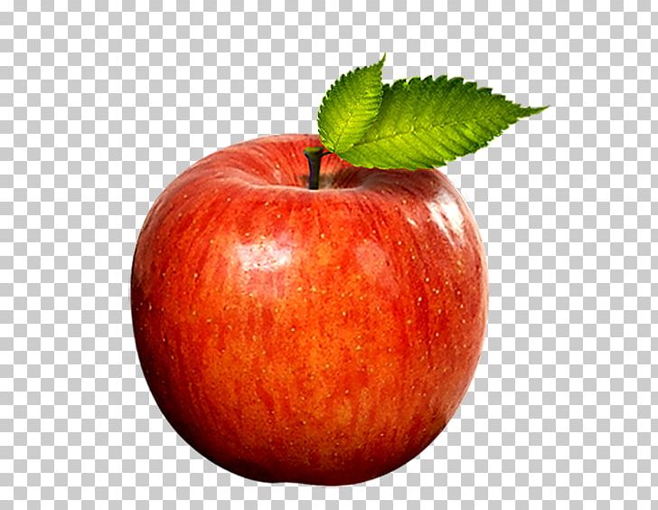 Apple Software Red PNG, Clipart, Adobe Illustrator, Apple, Apple Fruit, Apple Logo, Apple Tree Free PNG Download