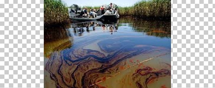 Deepwater Horizon Oil Spill Gulf Of Mexico Petroleum PNG, Clipart, Bayou, Bioremediation, Deepwater Horizon, Ecosystem, Exxonmobil Free PNG Download