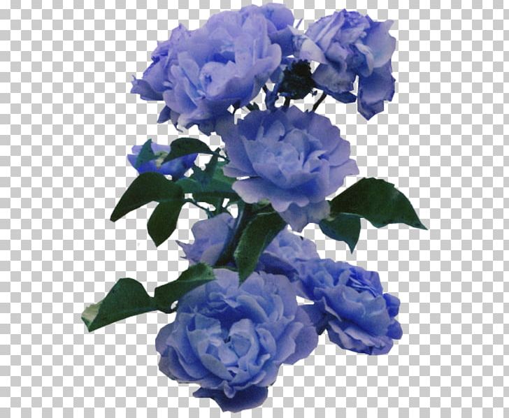 Flower Blue Rose Color PNG, Clipart, Art, Artificial Flower, Bellflower Family, Blue, Blue Flower Free PNG Download