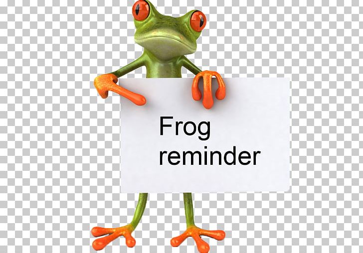 Frog Stock Photography PNG, Clipart, 3d Computer Graphics, Amphibian, Animation, Computer Animation, Drawing Free PNG Download