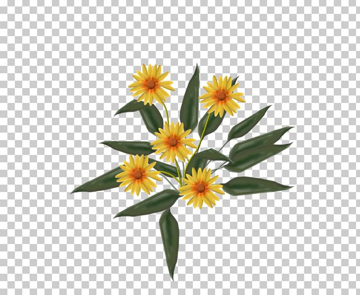Love Friendship In-Tango When I Dream At Night PNG, Clipart, Adelaide Hiebel, Animaatio, Daisy Family, Flower, Flowering Plant Free PNG Download