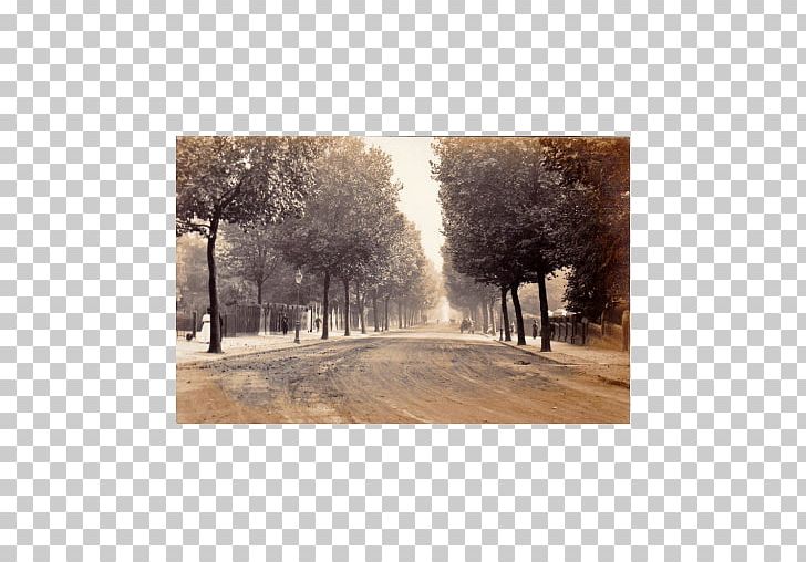 Stock Photography Winter Tree Sky Plc PNG, Clipart, Freezing, Kenwood Avenue, Nature, Painting, Photography Free PNG Download