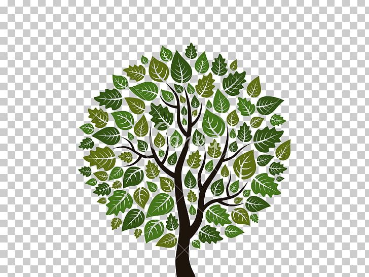Tree Computer Icons PNG, Clipart, Arboles Trees, Branch, Computer Icons, Desktop Wallpaper, Flora Free PNG Download