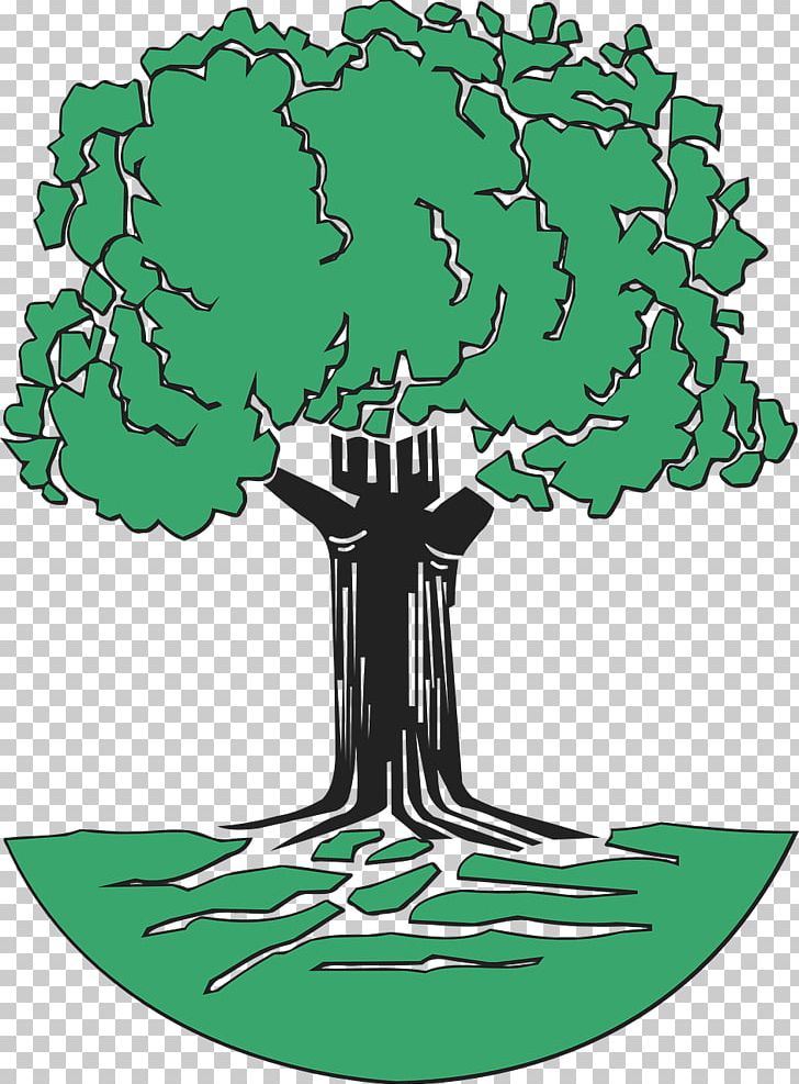 Tree Oak PNG, Clipart, Computer Icons, Drawing, Green, Nature, Oak Free PNG Download