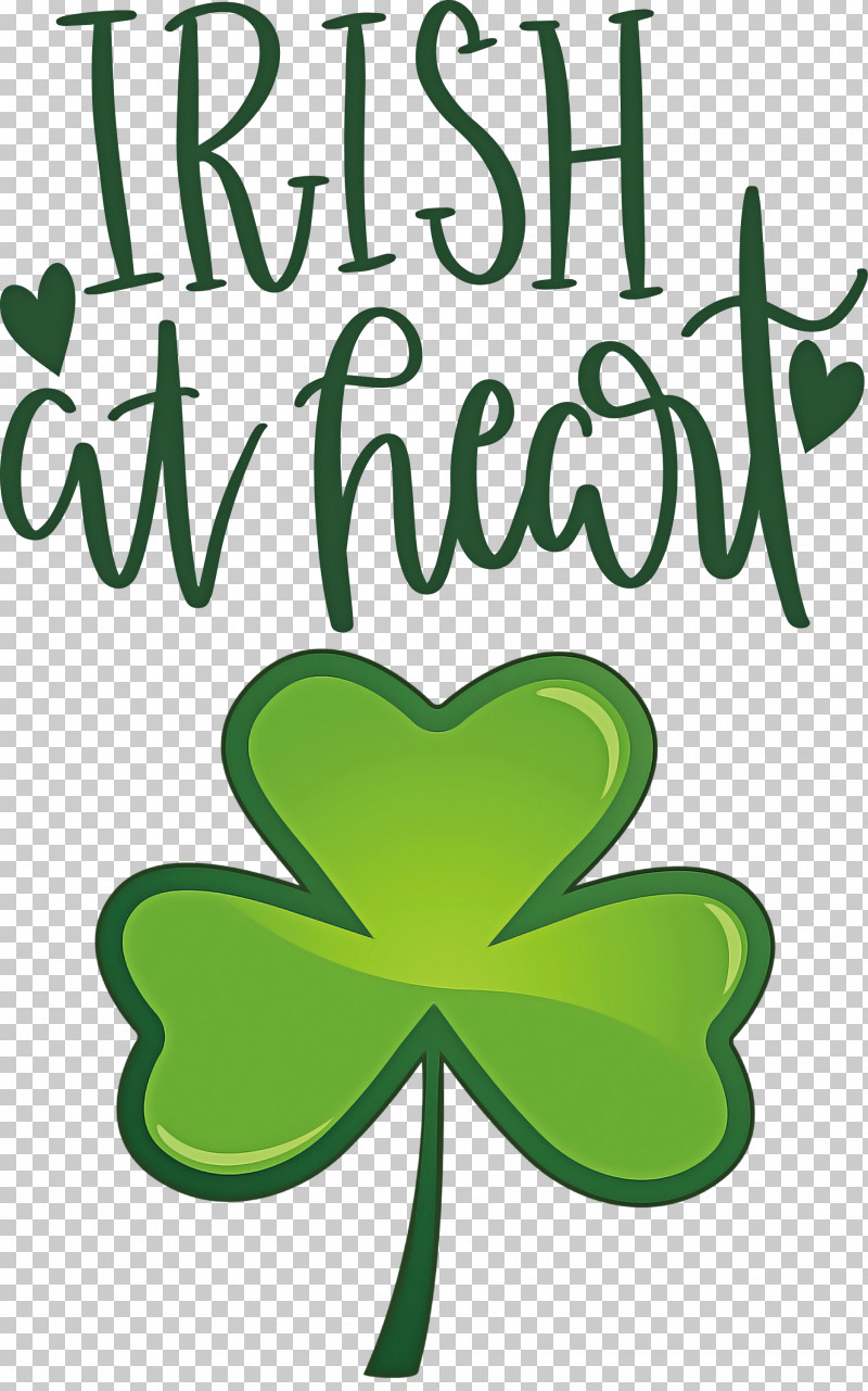 Shamrock Irish Saint Patrick PNG, Clipart, Biology, Flower, Green, Irish, Leaf Free PNG Download