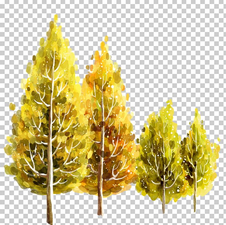Fukei Summer Autumn Illustration PNG, Clipart, Animation, Branch, Cartoon, Comics, Conifer Free PNG Download
