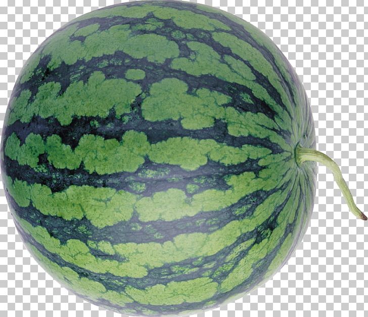 Watermelon Cucurbita Winter Squash PNG, Clipart, Apple, Cartoon, Citrullus, Cucumber Gourd And Melon Family, Cucumis Free PNG Download