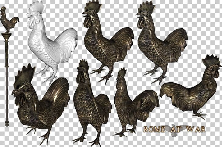 Mount & Blade: Warband Samnites Gauls Rooster PNG, Clipart, Beak, Bird, Chicken, Desura, Fauna Free PNG Download